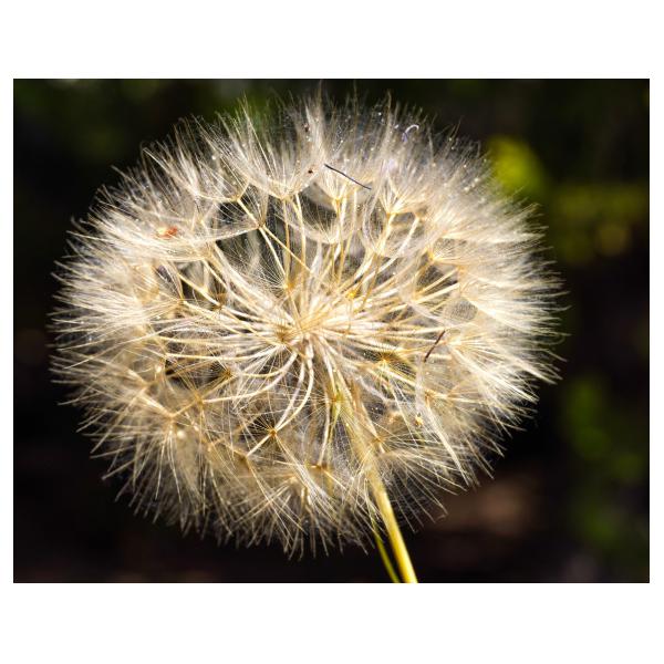 PHOTO84, CLUB, 84 , LUBERON